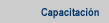 Capacitacion