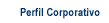 Perfil Corporativo